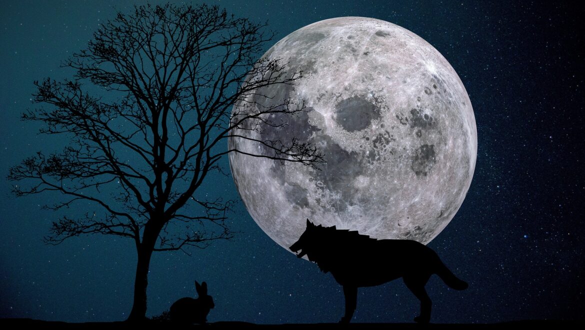 Vlk z Wallstreet na Broker kongresu?